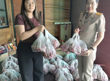 สำนักงานสหกรณ์จังหวัดกำแพงเพชร นำโดยนางสาวมณฑาทิพย์ บัวเทศ ... พารามิเตอร์รูปภาพ 16